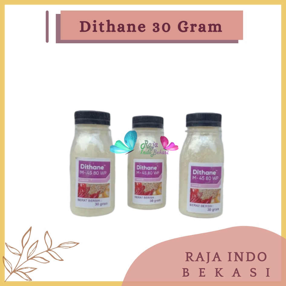 Rajaindobekasi Dithane M 45 80wp Botol 30 Gram Wp Fungsida Tanaman Kemasan Botol 30 Gram Warna Kuning  Pupuk Dithane M-45 80wp 200gr Fungisida Pengendali Hama Jamur Pada Daun Dithane M 45 80wp 1 Kg