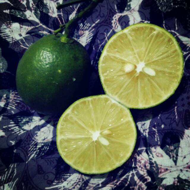 

Lemon tanpa pestisida
