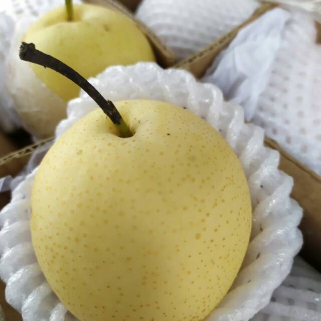 

Buah Segar - pear century 1kg