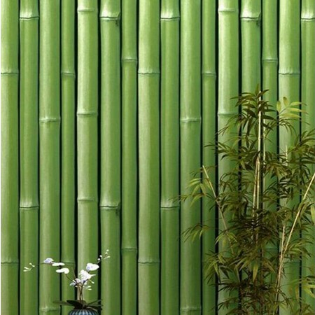 Wallpaper Bambu Rotan Hijau Padat IMPORT panjang 8M Real