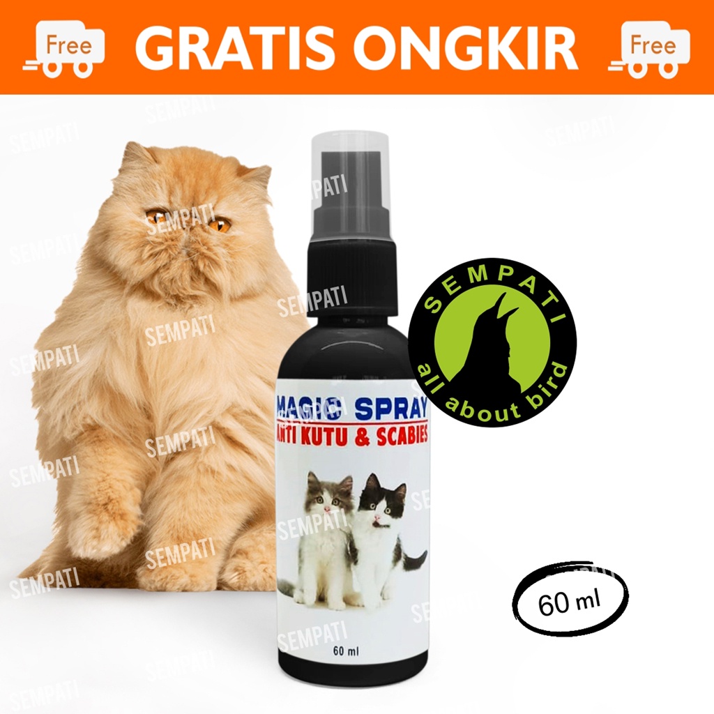 Jual Obat Kutu Kucing Magic Spray Anti Kutu Scabies Obat Kucing Semprot Basmi Kutu Tungau Caplak