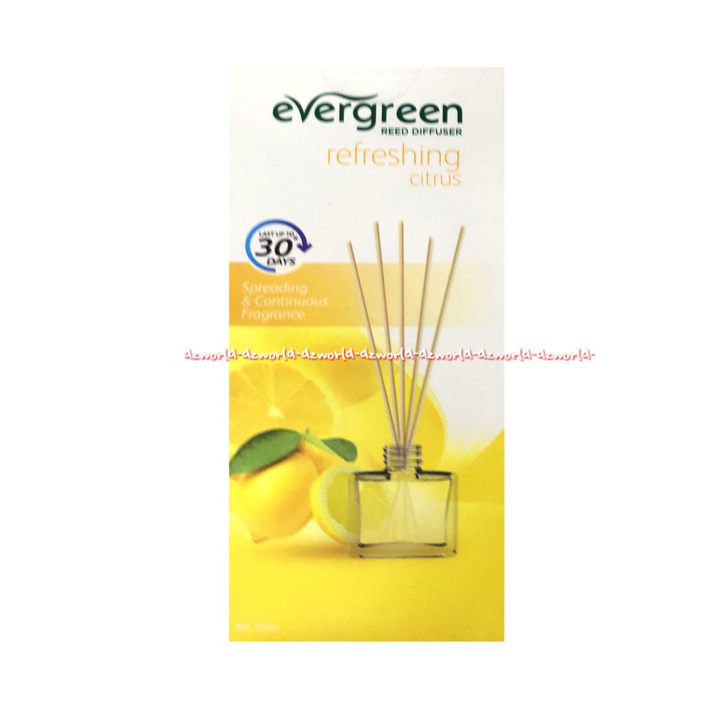 Evergreen Inspiring Nature Spreading Reed Disfuser Pewangi Stik