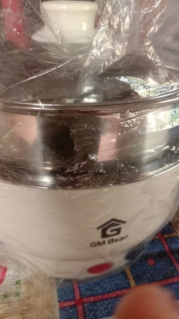 Gm Bear Panci Listrik Serbaguna 20cm 1225-multi Electric Pot 20cm