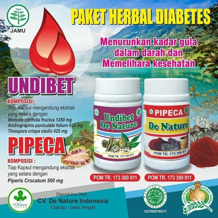 

ASLI MANJUR!! OBAT DIABETES / GULA DARAH TINGGI HERBAL UNDIBET PIPECA DE NATURE