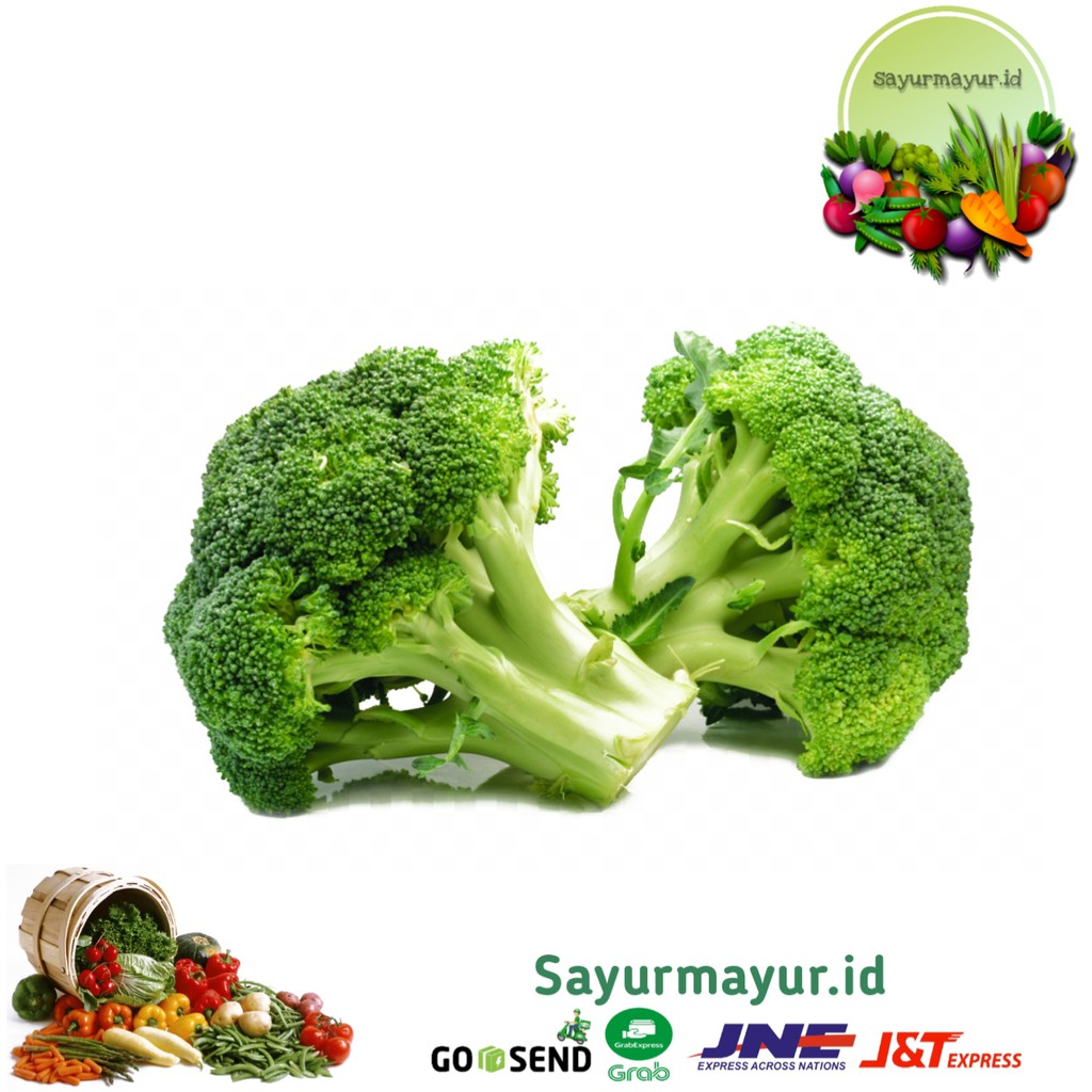 

BROKOLI SAYURAN PER 1/4 (250 GRAM)