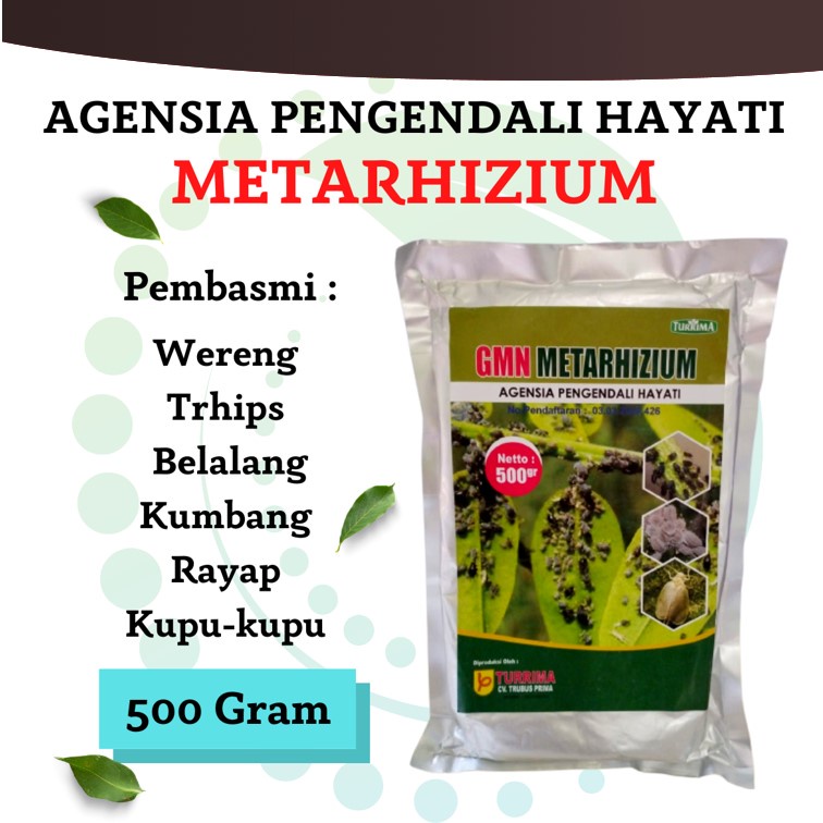 Jual Agensia Pengendali Hayati Untuk Jamur Tiram Metarizhium, Pupuk
