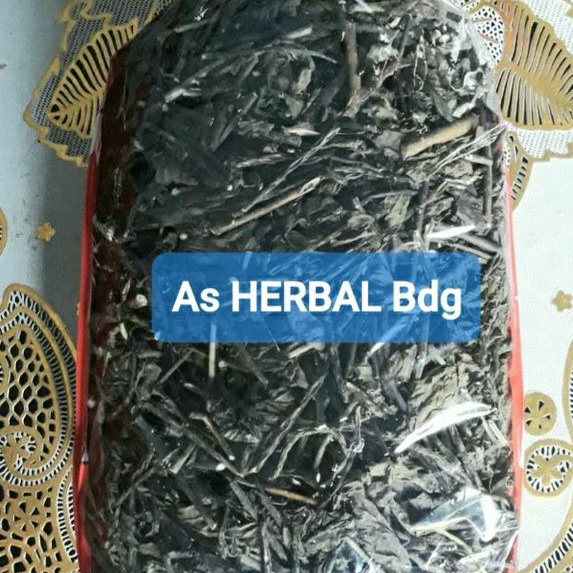 

Hemat 150 gram daun pecut kuda daun jarong kering-az