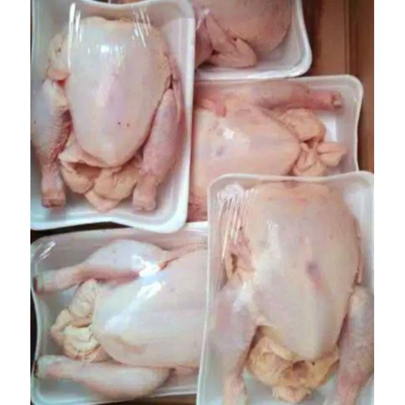 

AYAM FRONZEN