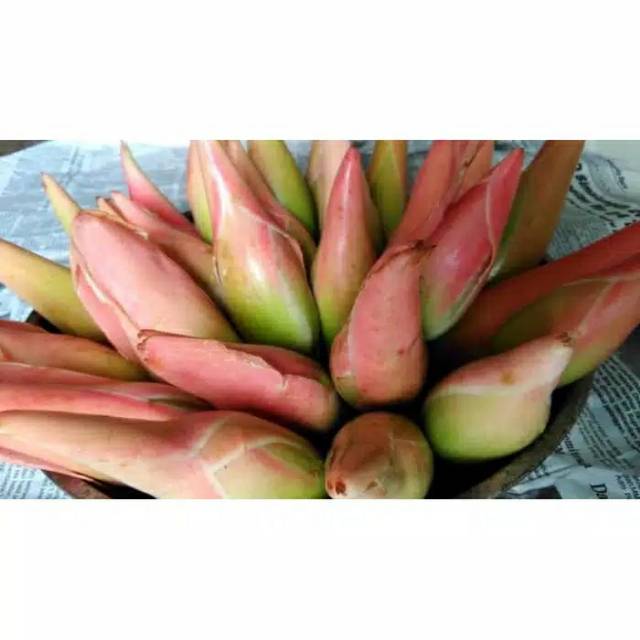 

Kencong 250G