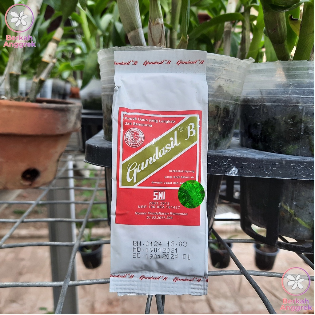 Gandasil B 100 Gram Gandasil Buah 100 Gram