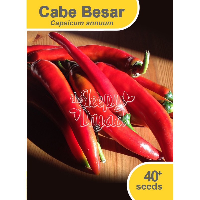 

Benih Cabe Cabai Merah Besar Chili Seed Murah