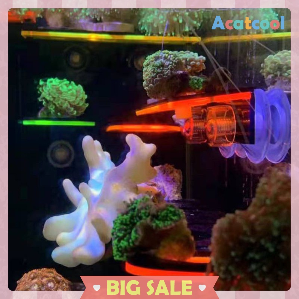 Fish Tank Fluorescence Coral Frag Rack Aquarium Reef with Plug Holder Stand