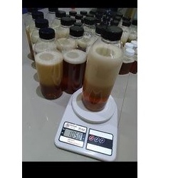 

Madu Lebah KAPUAS HULU