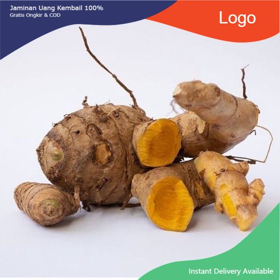 

Promo Temulawak basah segar 250 gram kunyit temu kunir fresh siap ambil ke kebun
