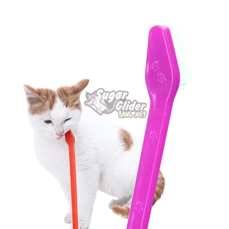 TOOTHBRUSH for PET Sikat Gigi Hewan Anjing Kucing kelinci free Sarung Jari Pembersih musang monyet