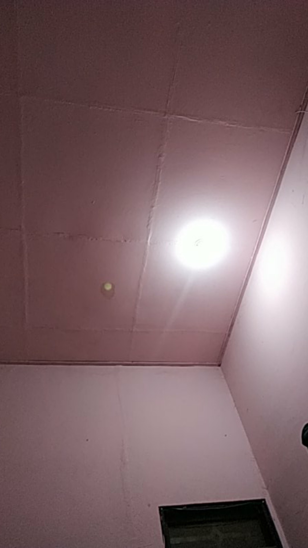 Essential Oil Aromaterapi Tumbuhan Alami 10 Ml