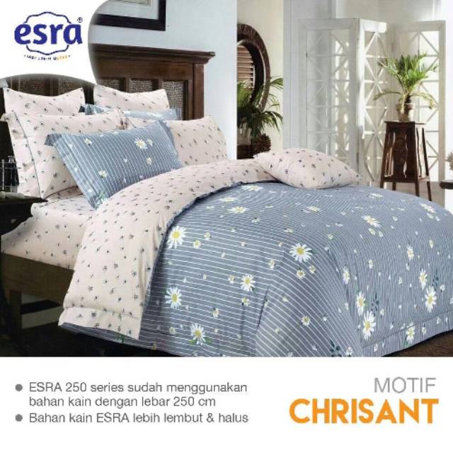 SPREI ESRA CHRYSANT