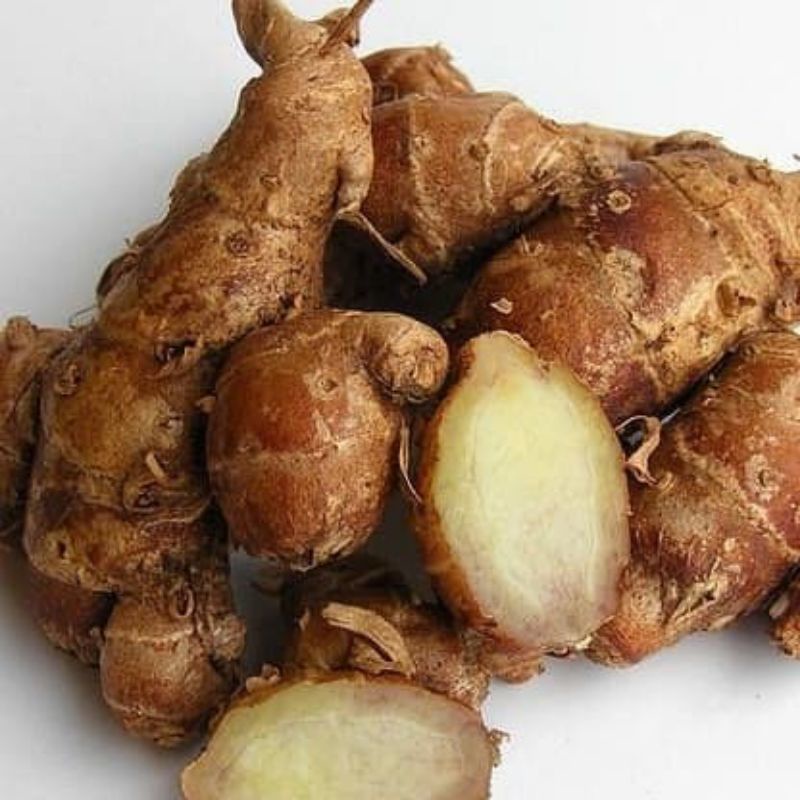 

1/2KG KENCUR SEGAR TUA