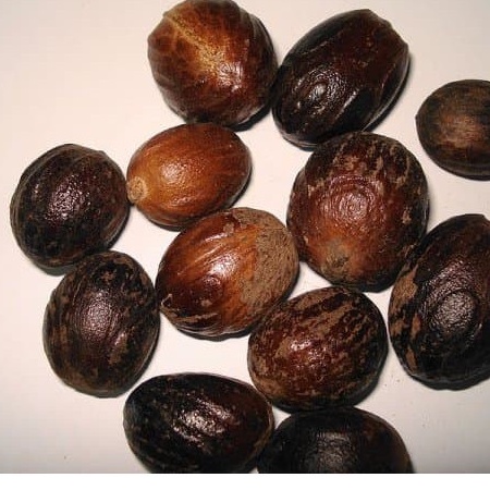 

Biji Buah Pala 50 Gram