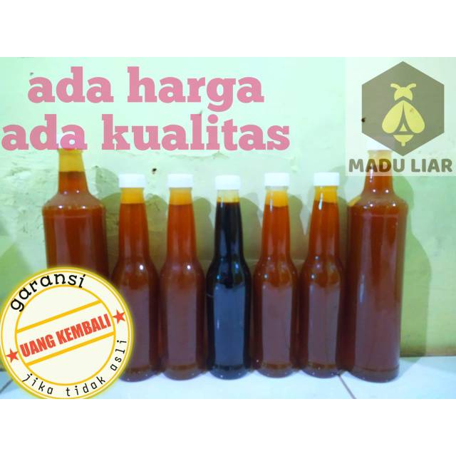 Madu asli, tawon liar