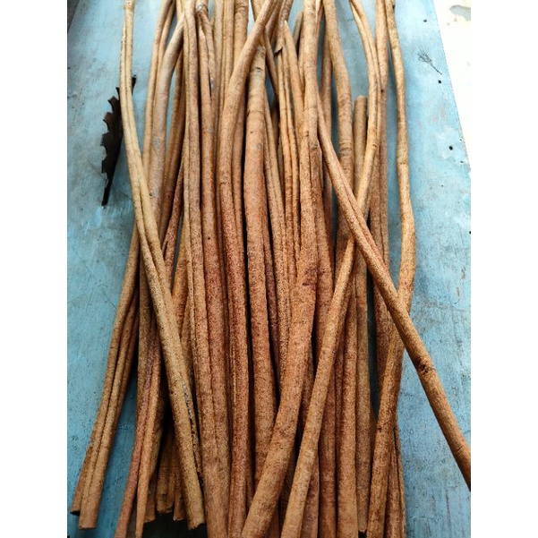 

kayu manis Stick kerinci, kayu manis Stick, kayu manis, Stick kayu manis