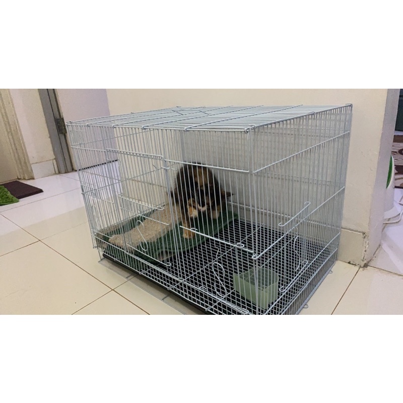 Kandang kucing kelinci sugar glider burung size L 60x42x40-1