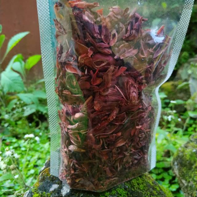 BAWANG DAYAK KERING/ORIGINAL ASLI/BAWANGDAYAK ASLI/bawang dayak organik segar 1kg /teh tiwai 1 kg