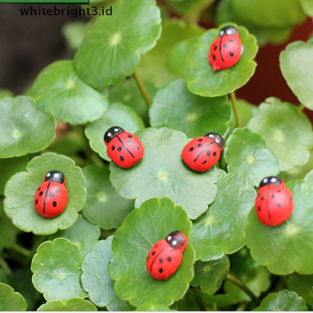 {whitebright3.id} Mini Ladybug Beatles Garden Ornaments Scenery Craft For Plant Pot Fairy Decor ,