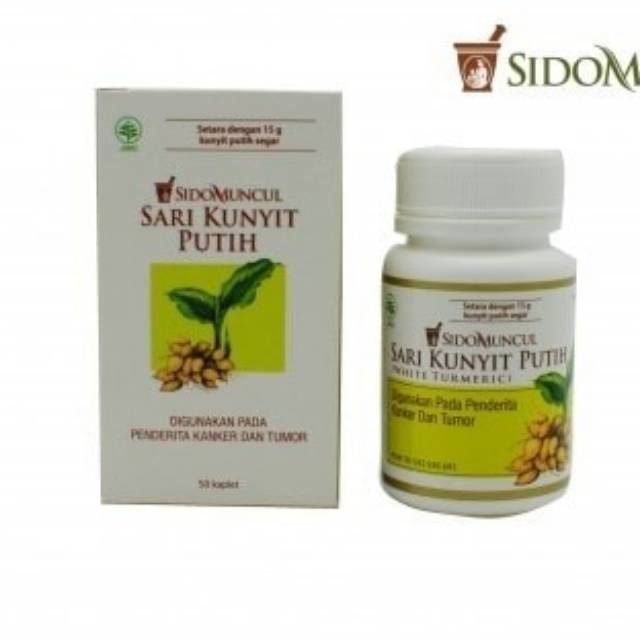 Kunyit Putih Sidomuncul (30)