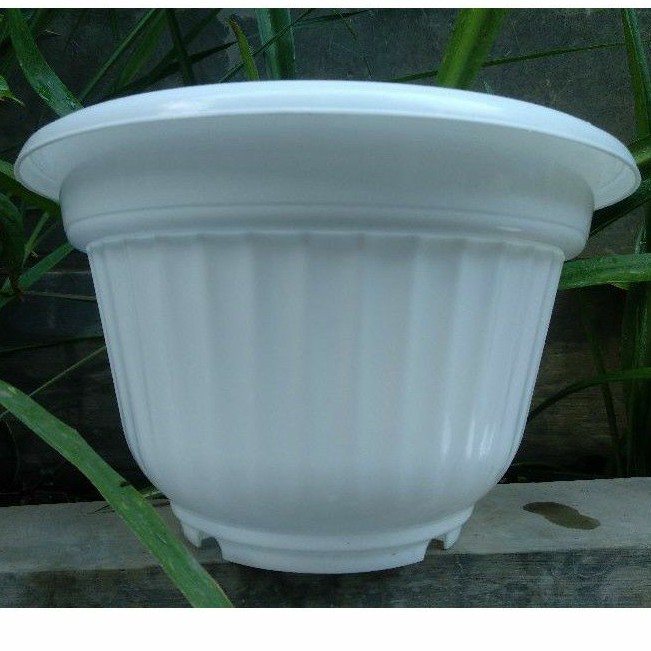 POT TANAMAN BUNGA BULAT 30 PUTIH Shopee Indonesia POT TANAMAN BUNGA BULAT 30 PUTIH Shopee Indonesia
