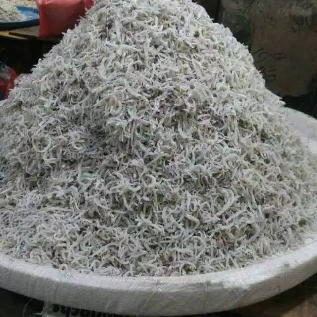 

Promo terbatas teri nasi kecil sedang 1kg