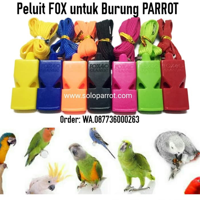 Pluit Fox 40 Untuk Burung Parrot Shopee Indonesia