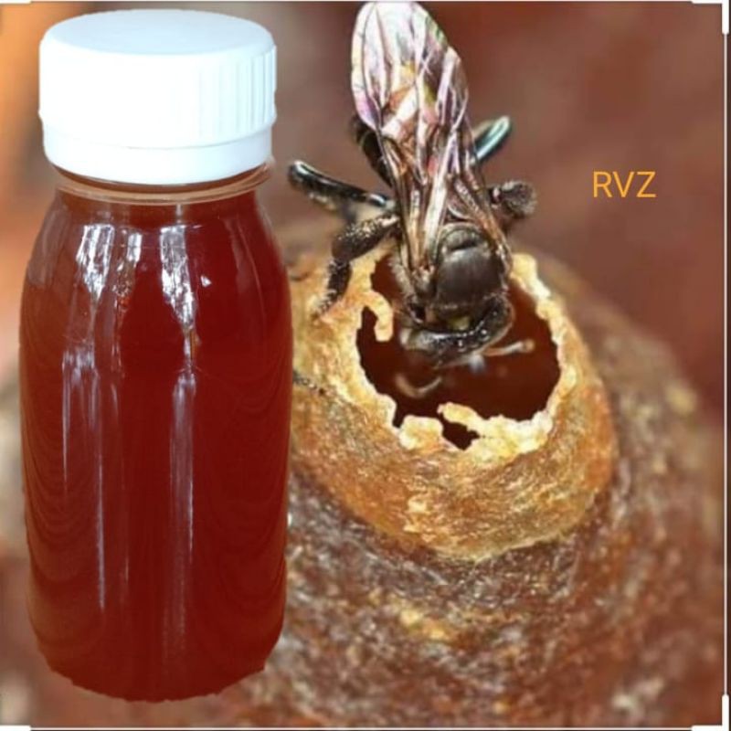 

Madu Trigona 100gram