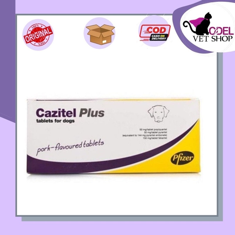 Cazitel plus Anjing [MALANG]