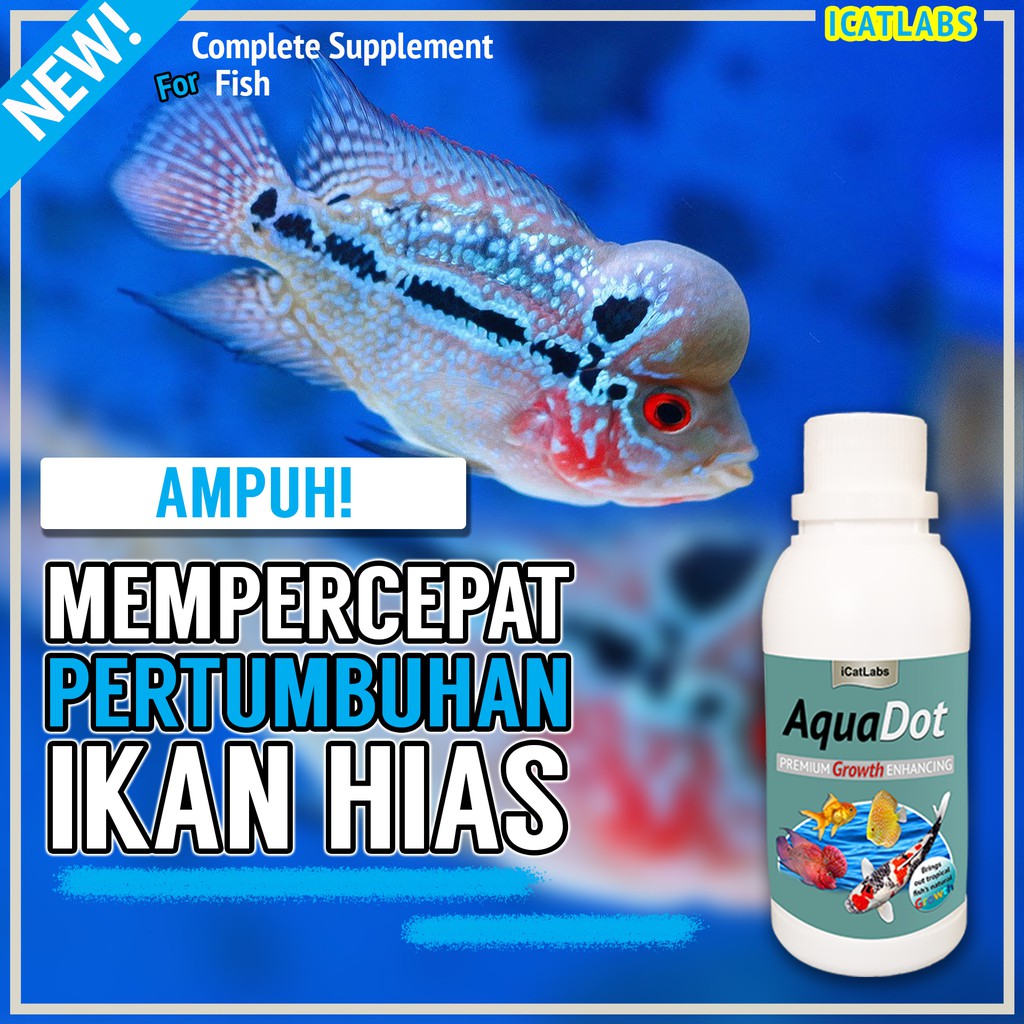 [B2] AQUADOT PAKAN GROWTH IKAN IKAN KOI IKAN HIAS IKAN LOUHAN IKAN ARWANA ARWANA IKAN KOKI AQUARIUM