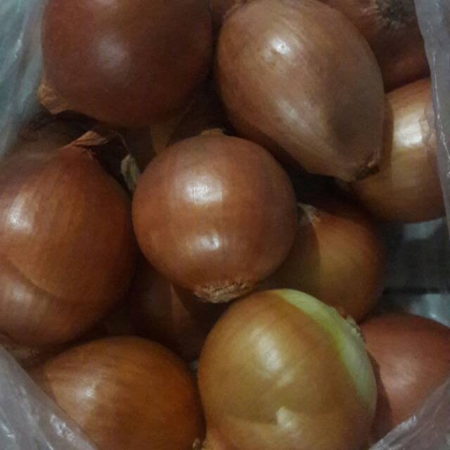 

BAWANG BOMBAY 1kg MURAH