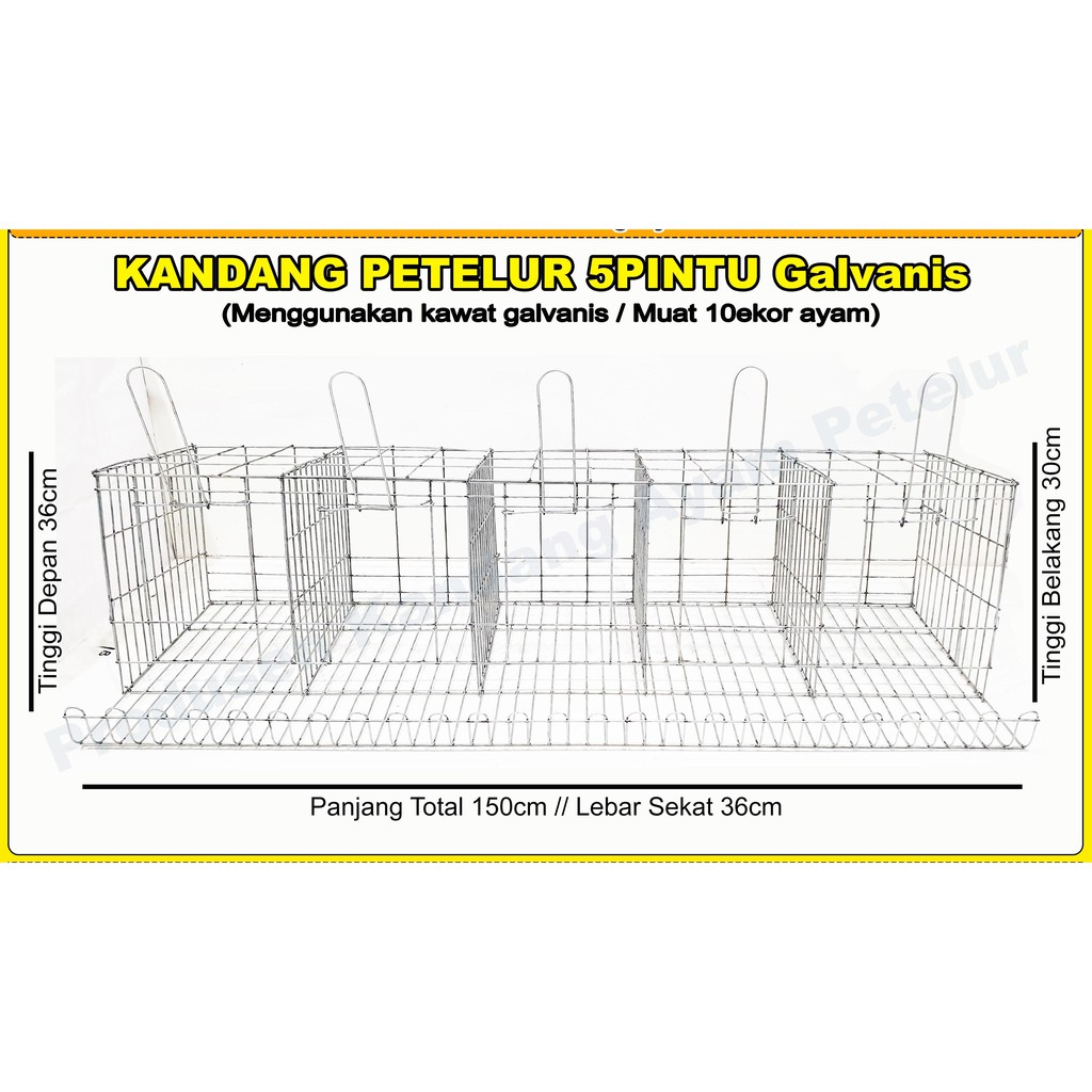 Kandang Ayam Petelur 5 Pintu Galvanise (isi 10ekor)