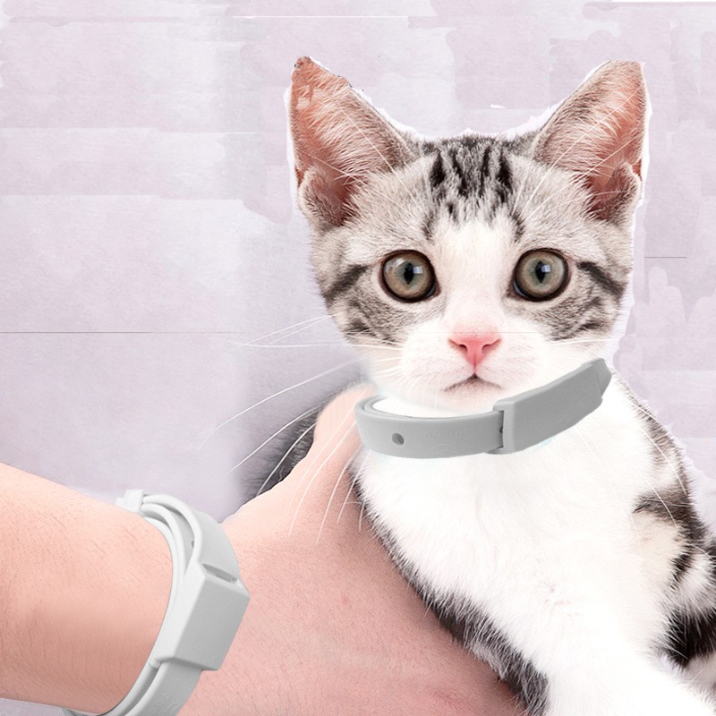 KALUNG PUTIH ANTI KUTU Kucing Anjing Murah Lucu Untuk Kitten Aksesoris Bagus Keren Import Dan Nyamuk