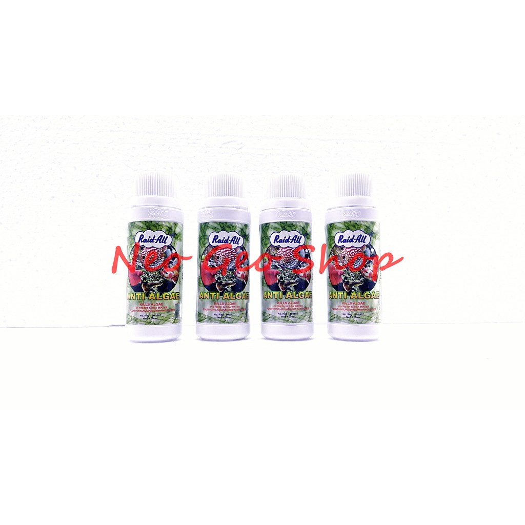 obat anti algae penghilang lumut remover aquarium raid all