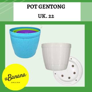 Pot Bunga Ukuran 22 Lovenia Pot Tanaman Model Gentong Pot Bunga Ukuran 22 Lovenia Pot Tanaman Model Gentong