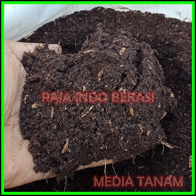 1KG Media Tanam Pupuk Organik Media Kaktus Sekulen Kamboja Adenium - Bukan Tanah Lembang Merah  Saja