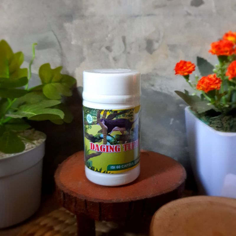 

Daging tupai Kapsul Obat Diabetes Melitus Daging Tupai Asli 100% Halal