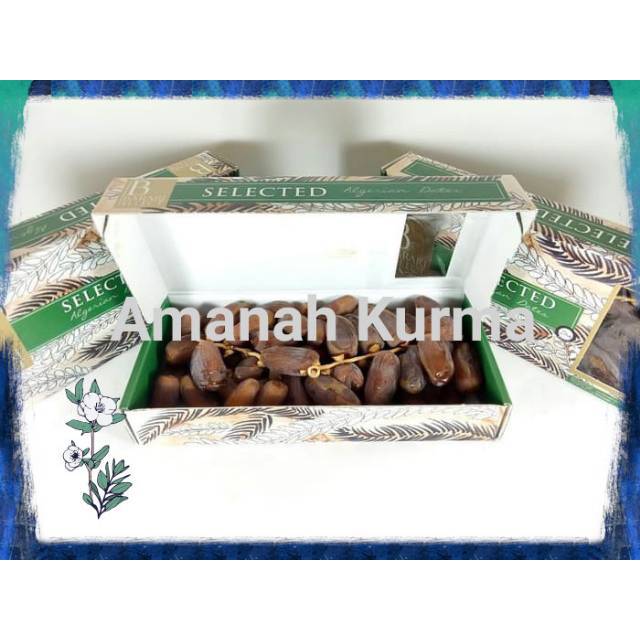 

kurma Aljazair Tangkai 500gr / kurma Palm fruit / kurma Tunisia