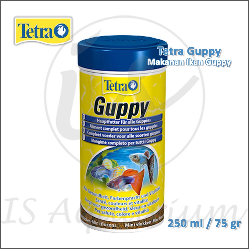 Tetra Guppy 75gr 250ml Makanan Ikan Guppy Flakes TetraGuppy