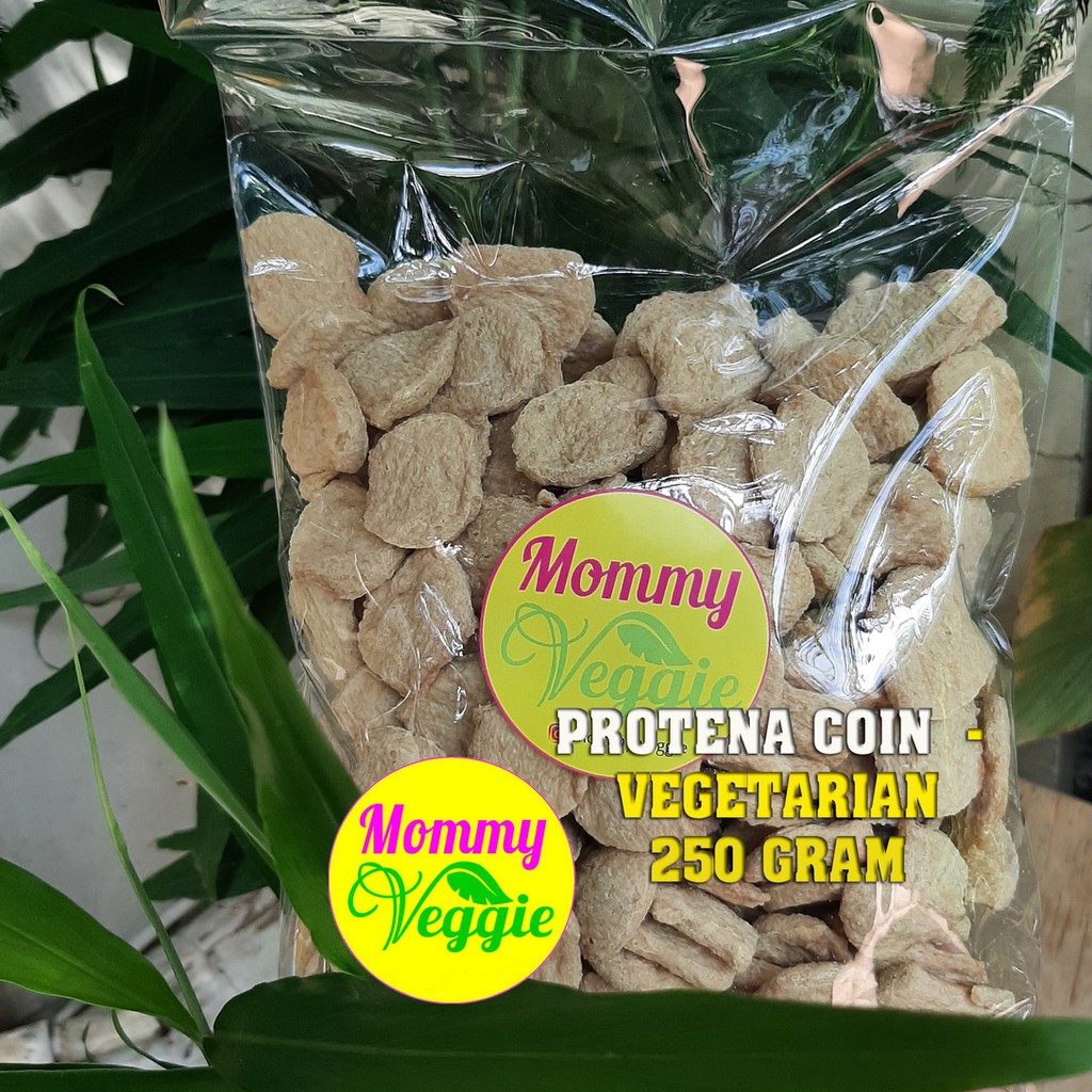 PROTENA COIN 250 GRAM | PROTEINA | DAGING NABATI | VEGETARIAN | KUALITAS BAGUS