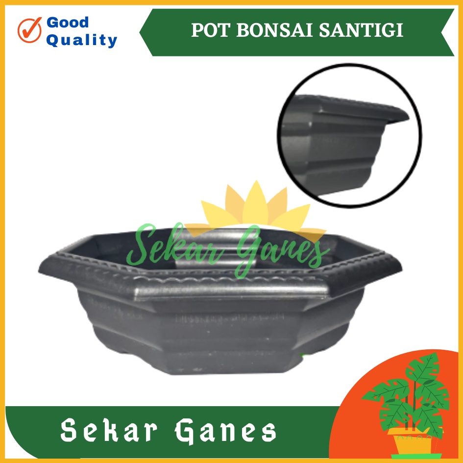 Pot Bonsai Santigi 30 Hitam Bonsai Segi 8 By Garden Of Love Pot Bonsai Kelapa Kotak Ceper Besar Mame