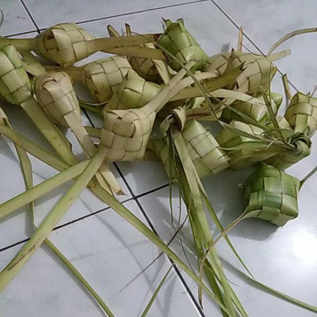 Janur Kelapa Muda Harga Perbiji