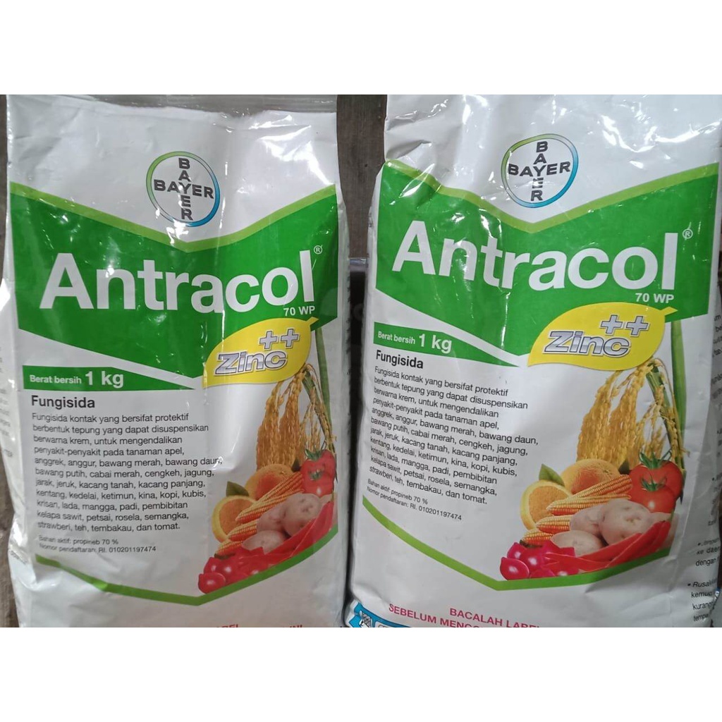 Fungisida Antracol 1Kg