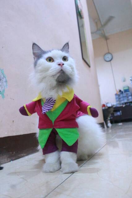 Kostum Joker hijau lucu untuk kucing dan anjing / baju kucing murah size S M L XL