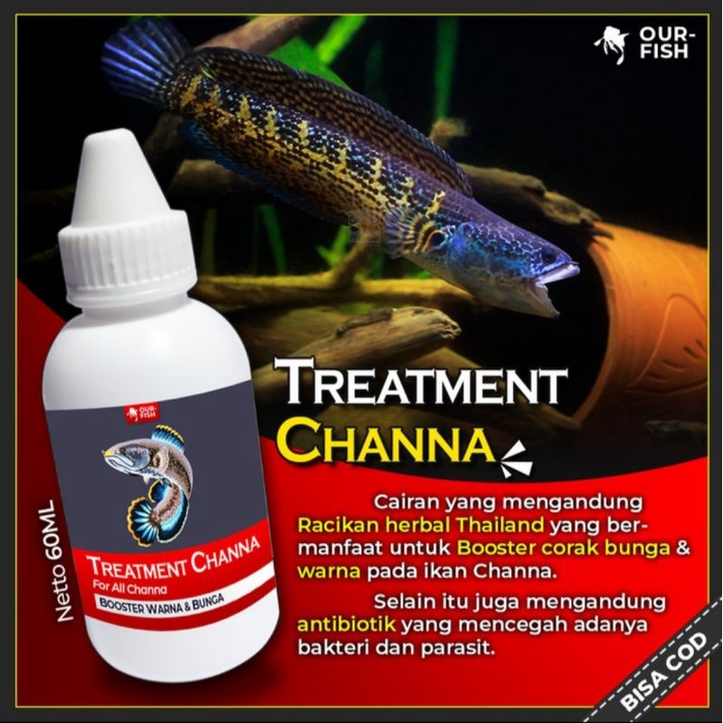 Ourfish - Treatment Channa Booster Untuk Semua Channa
